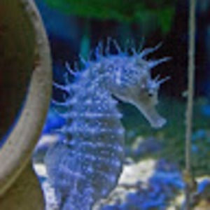 Meet your Posher, Tayte